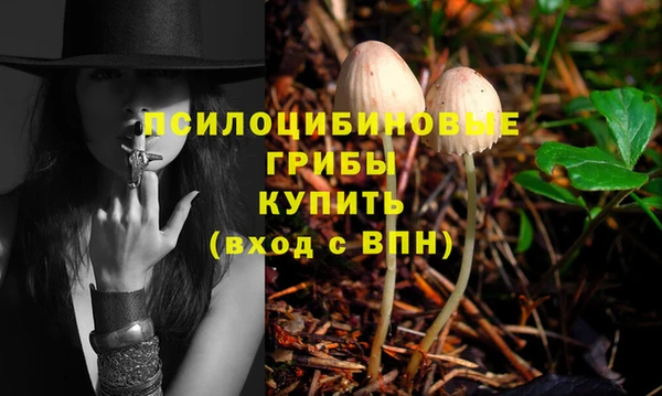 2c-b Нея