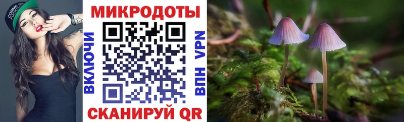 Псилоцибиновые грибы MAGIC MUSHROOMS  где купить наркотик  Кяхта 