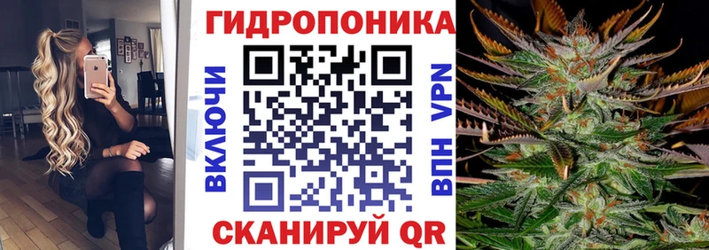 Конопля гибрид Кяхта
